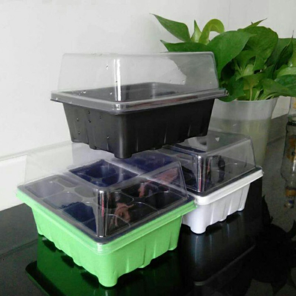 طقم بدء الزراعة: صواني إنبات ب - مراجعة Bonsai Garden Grow Kit وسعره