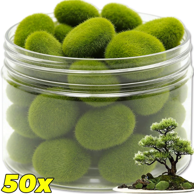 50/5 قطع من أحجار الطحلب الاصط - مراجعة Bonsai Rock Garden وسعره