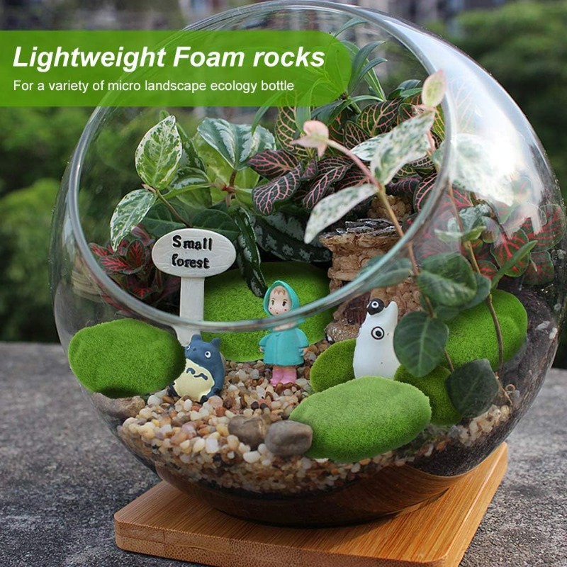 50/5 قطع من أحجار الطحلب الاصط - مراجعة Bonsai Rock Garden وسعره