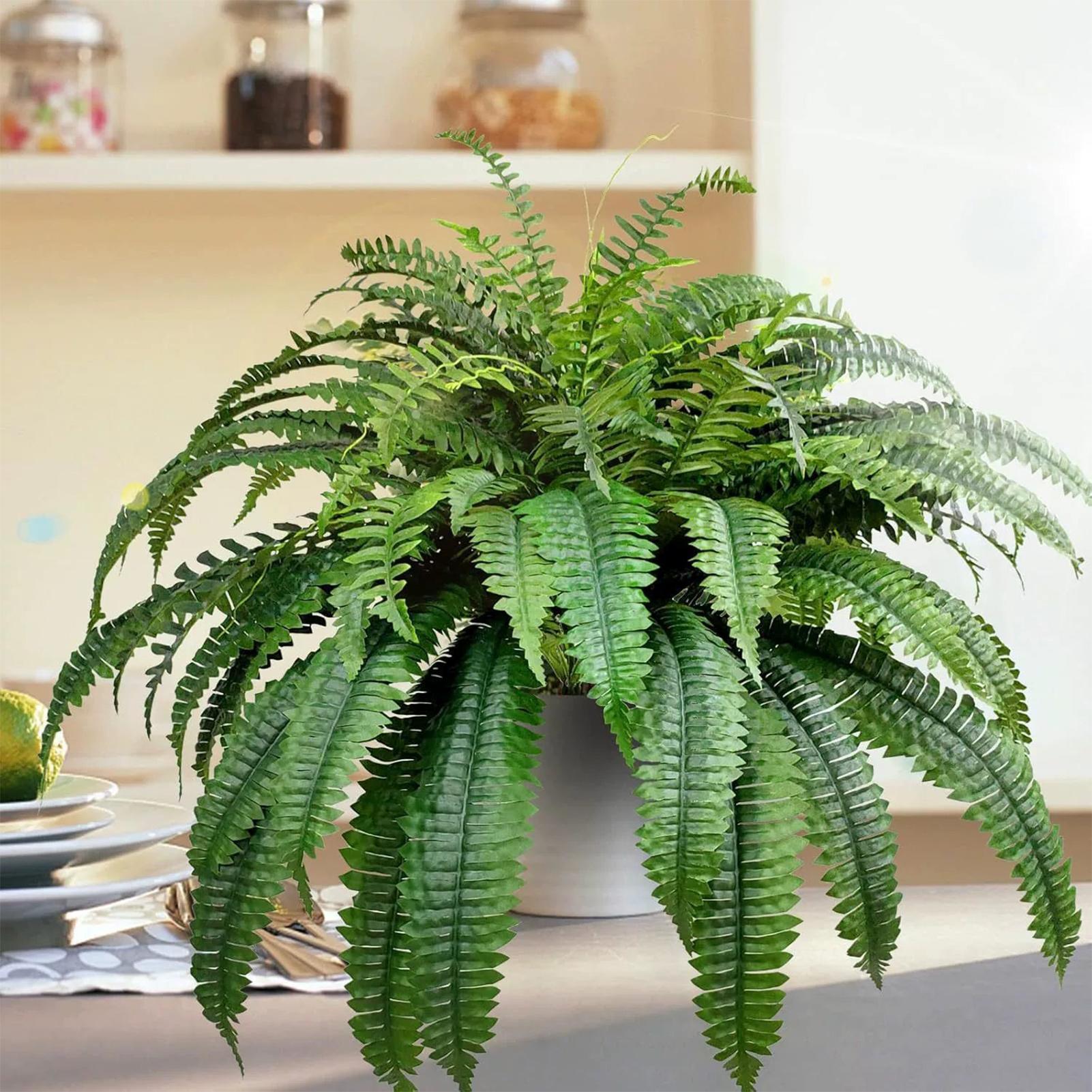 نباتات بوسطن فيرن الاصطناعية ا - مراجعة Bonsai Garden Boston وسعره